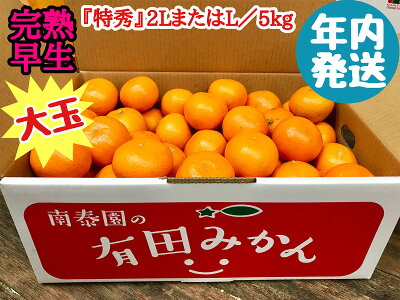 ZF6028n_≪年内発送≫【完熟早生・有田みかん】大玉『特秀』2LまたはLサイズ／5kg【南泰園】