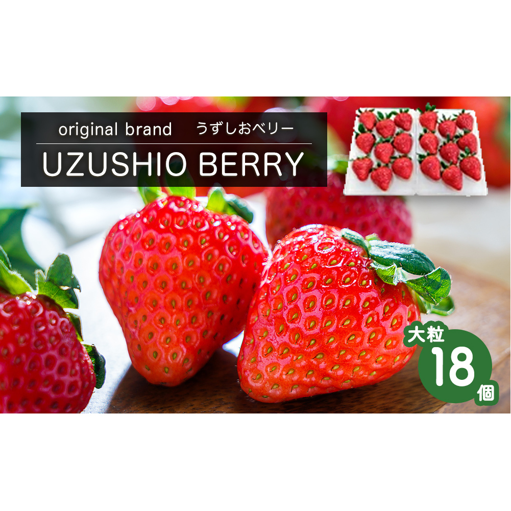 【朝摘みをお届け！】【2025年12月中旬頃より順次発送】 フルーツガーデンやまがたのいちご「うずしおベリー」大粒18個 【数量限定】 いちご フルーツ 果物 苺 イチゴ 旬の果物  鳴門のいちご
