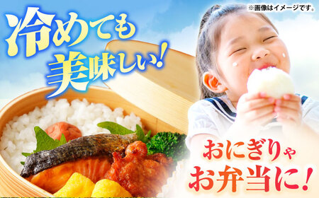 【R7年度産米】壱岐産米 にこまる 5kg《壱岐市》【壱岐市農業協同組合】[JBO023]