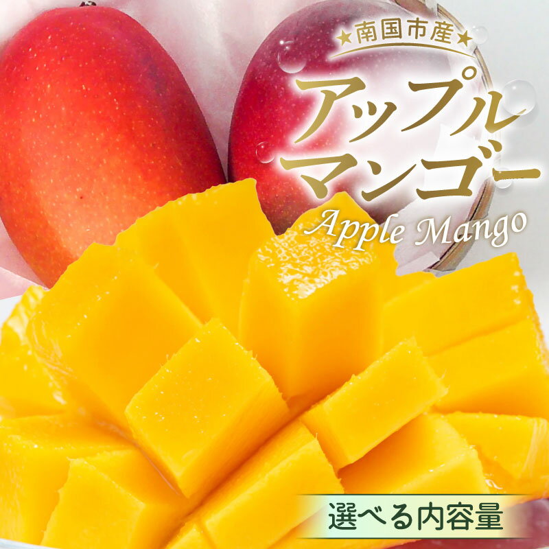 【ふるさと納税】 先行予約 高知県南国市産 完熟アップルマンゴー 選べる 2026年6月-発送 マンゴー アップルマンゴー フルーツ 旬 果物 くだもの デザート 高評価 厳選 ギフト 贈り物 贈答 ギフト 人気 おすすめ ふるさと納税まんごー ふるさと納税 マンゴー 高知県 南国市