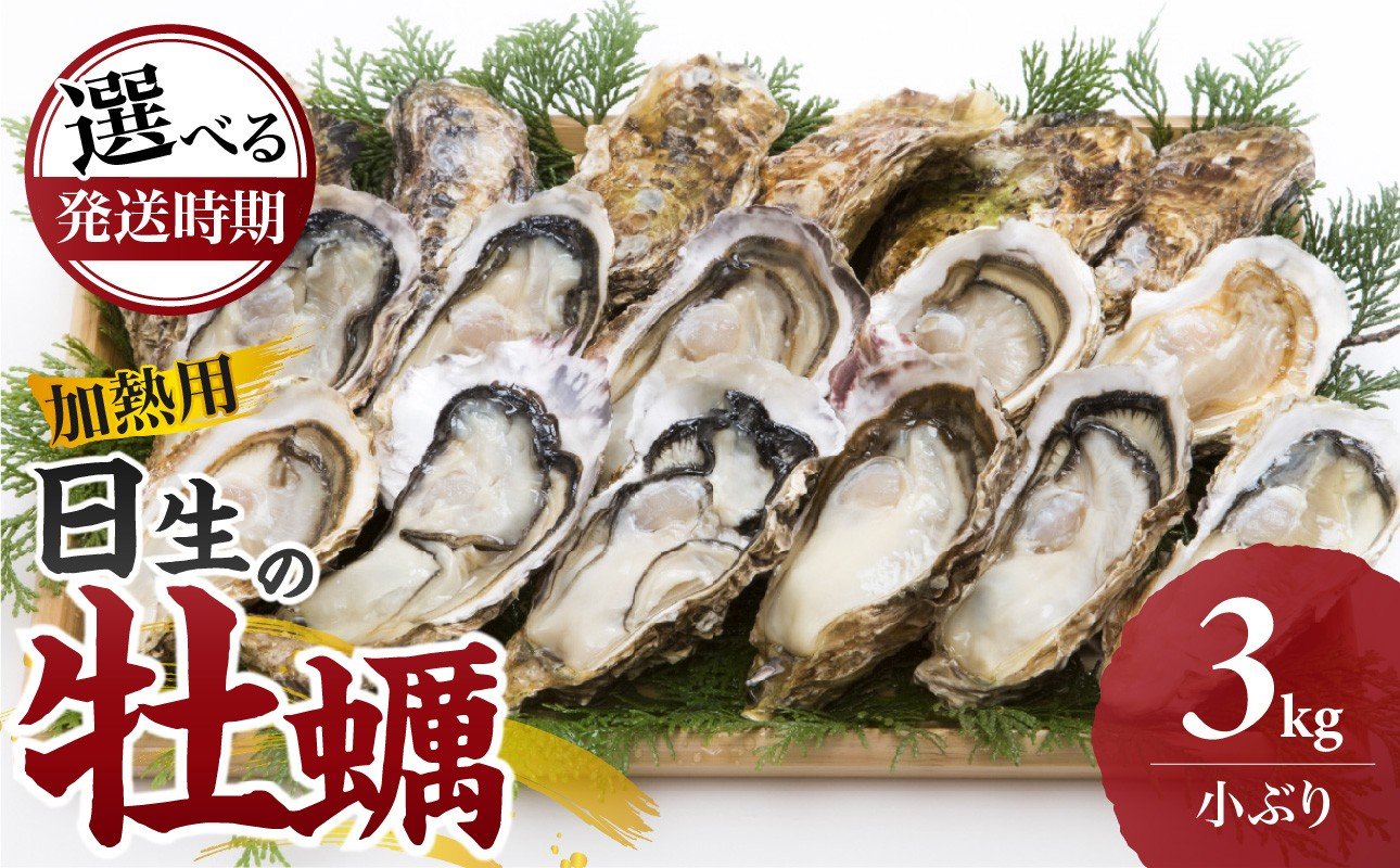 
            【先行受付スタート】《★選べる発送時期★》日生 牡蠣（小ぶり）3kg 《2025年11月下旬～2026年4月中旬発送》（発泡スチロールにてお届け！）【生鮮 牡蠣 3kg 日生産 ひなせ カキ かき 海のミルク 加熱用 小ぶり】
          