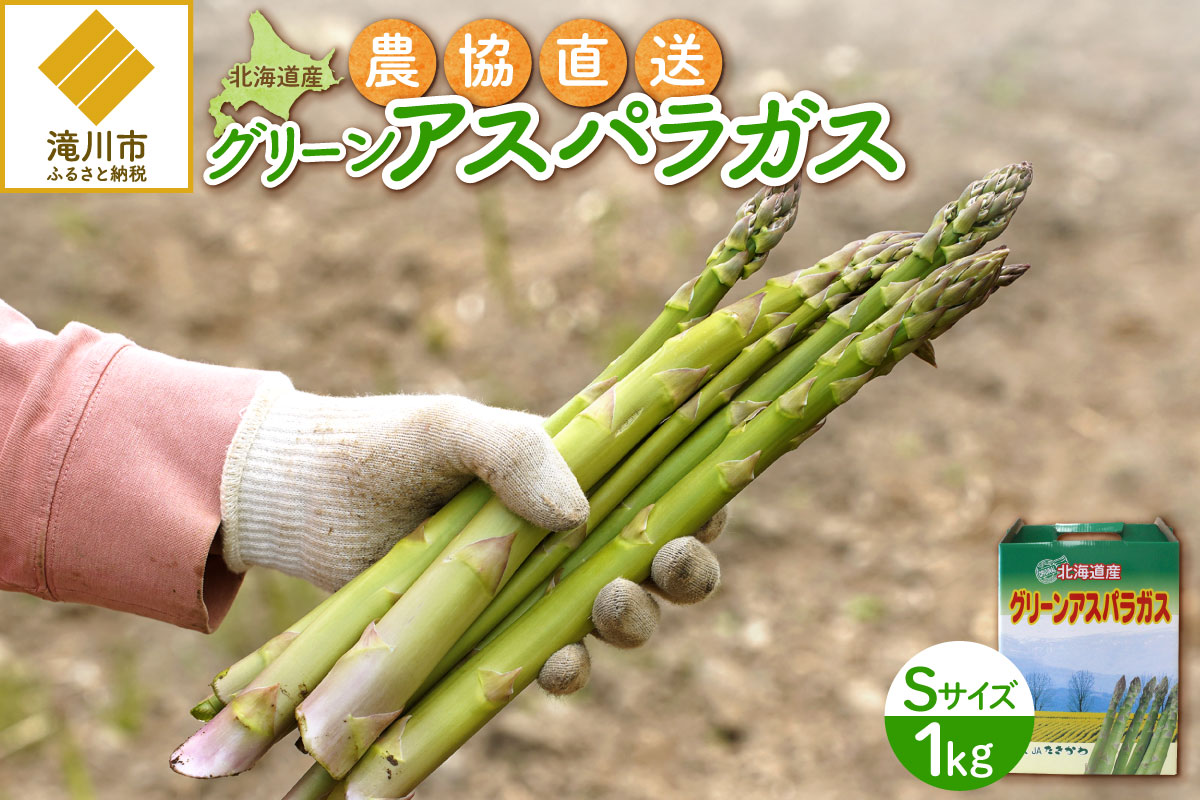 【2026年発送先行受付】北海道産グリーンアスパラ Sサイズ 1kg(500gx2袋) 産地直送 | 野菜 旬 とれたて お取り寄せ 小分け 保存 北海道 滝川市
