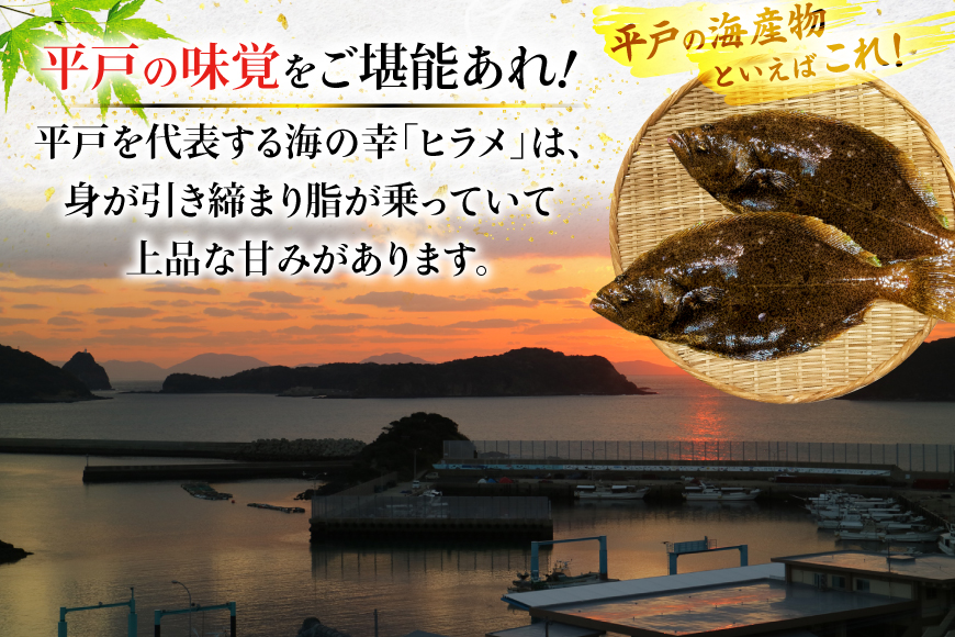 魚 刺身 ヒラメ 刺盛 80g 12回 定期便 総計 約960g [平戸さくら水産 長崎県 平戸市 hr42bgy420325] さかな ひらめ 刺し盛 さしみ