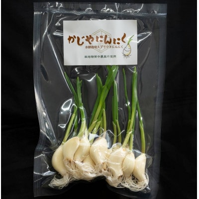 【9月中旬から4月中旬の発送】まるごと!スプラウトにんにく(80g×2パック)栄養満点スーパーフード【配送不可地域：離島】【1735502】