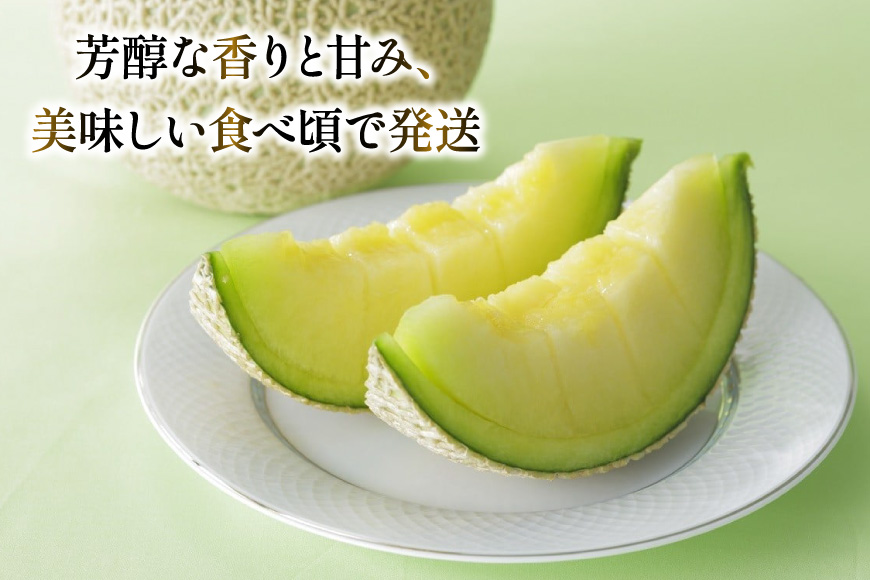 AJ651 【令和8年7-8月出荷分】 堀農園 マスクメロン 2玉 [ メロン めろん 青肉メロン 黄緑 果物 フルーツ おいしい 甘い 堀農園 長崎県 島原市 ]