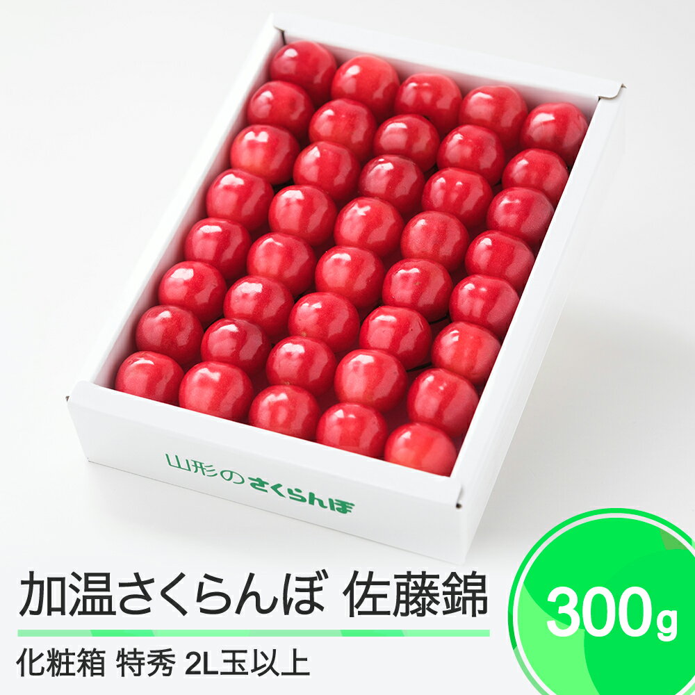 【ふるさと納税】加温 さくらんぼ 佐藤錦 特秀品 2L玉 化粧箱入 300g 2026年産 令和8年産 山形県産 送料無料 ja-snk2x300