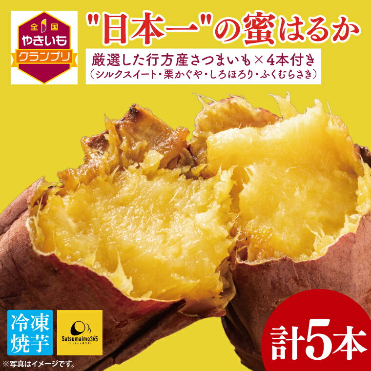 【ふるさと納税】【2025年3月下旬より順次発送】【Satsumaimo365】【さつまいも博/全国やきいもグランプリ 3度の日本一】【全国やきいもグランプリ チャンピオン】【数量限定】“日本一"の蜜はるか 1本 ＋厳選した行方産さつまいも 4本（YA-2）