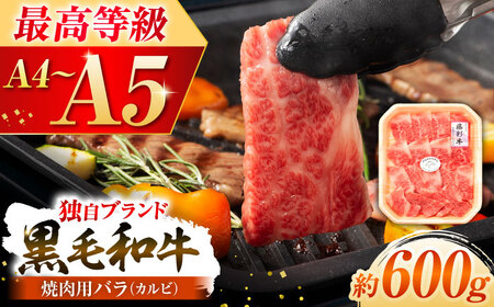くまもと黒毛和牛「藤彩牛」バラ(カルビ)焼き肉用 約600g 牛肉 カルビ[BHAD122]