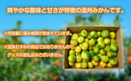 訳あり 温州みかん 約4kg 早生 みかん