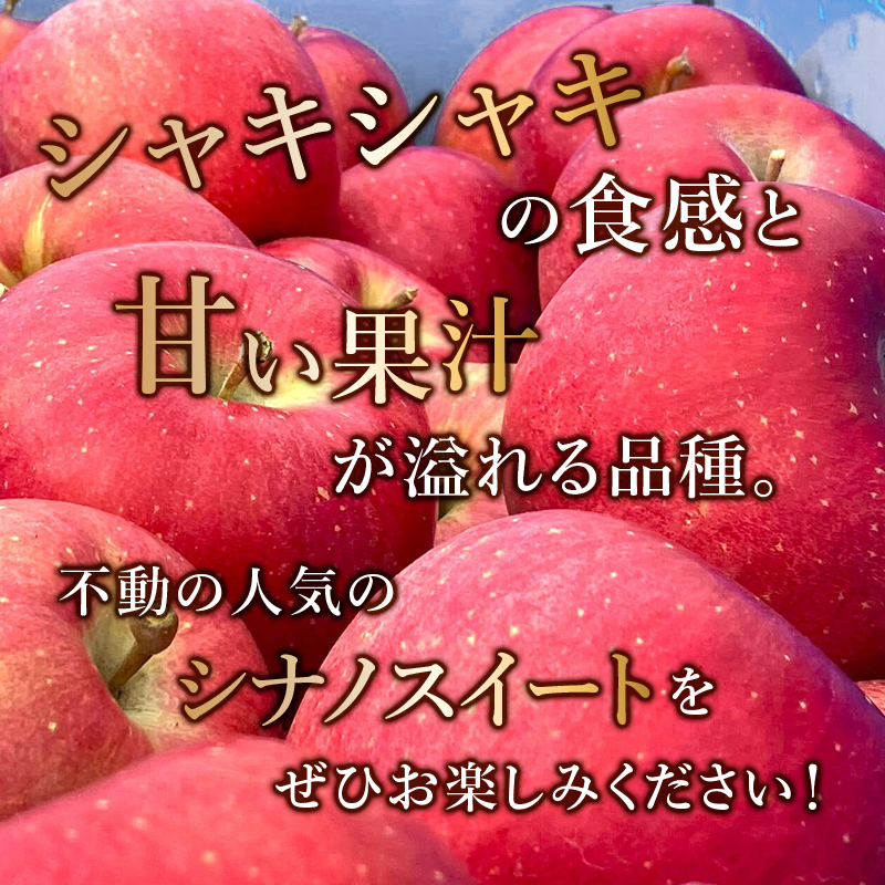 りんご【11月～2月発送】糖度13度以上 訳あり品 家庭用 シナノスイート 約3kg【青森りんご】