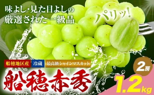 【2026年発送先行予約】最高級 シャインマスカット ぶどう 船穂赤秀 2房 1.2kg 岡山県産《2026年9月上旬-10月末頃出荷》 ハレノフルーツ マスカット 送料無料 岡山県 浅口市 フルーツ 果物 贈り物 ギフト 国産 岡山県産【配送不可地域あり】