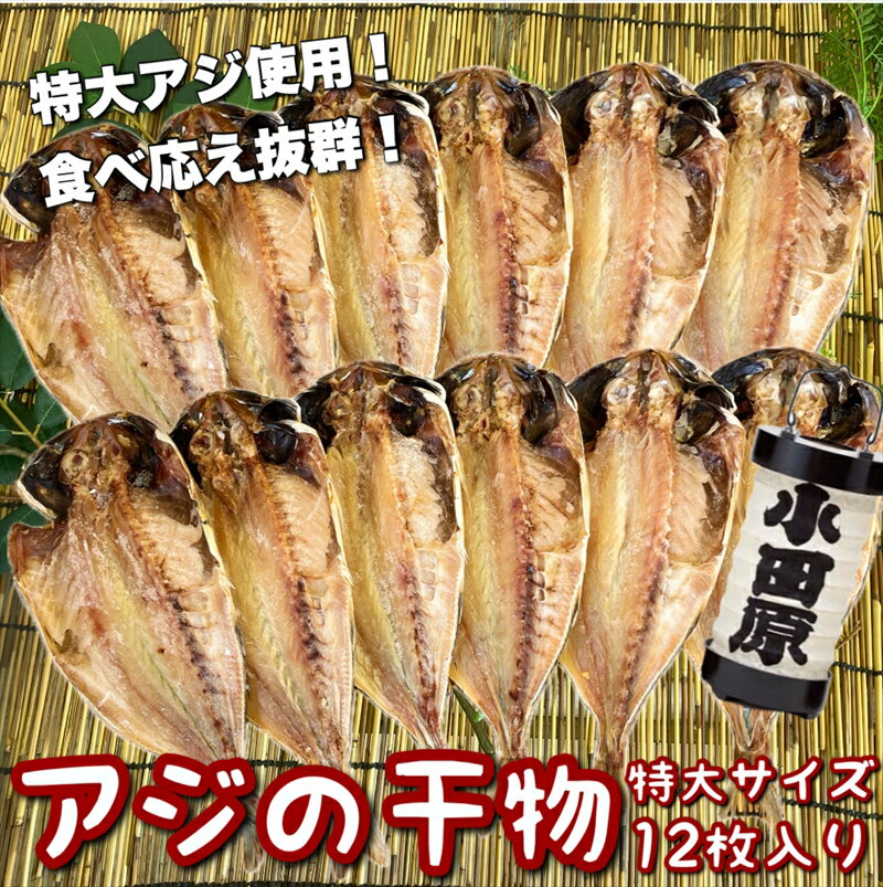 【ふるさと納税】鯵の干物 特大サイズ 12枚セット【 神奈川県 小田原市 】