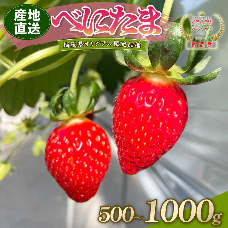 【ふるさと納税】 【予約】 べにたま 埼玉限定品種 選べる容量 500g 1000g いちご イチゴ 苺 ストロベリー 産地直送 ご当地 果物 くだもの フルーツ デザート 食品 スイーツ 冷蔵 ロコファーム 埼玉県 羽生市