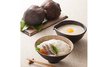 生とろろ・味とろろ詰め合わせ(冷凍) E009 やまのいも ねばねば 特産 滋味 粘り 冷凍配送 冷凍食品