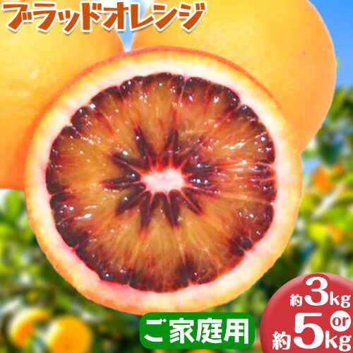 【ふるさと納税】＜先行予約＞紀州有田産ブラッド オレンジ 選べる 内容量 約 3kg 約 5kg【ご家庭用】 魚鶴商店《2026年3月上旬-3月下旬頃出荷》 和歌山県 日高町 紀州有田産 オレンジ みかん ご家庭用