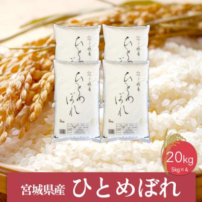 ふるさと納税 大崎市 《精米》令和6年産 宮城県産ひとめぼれ5kg×4袋