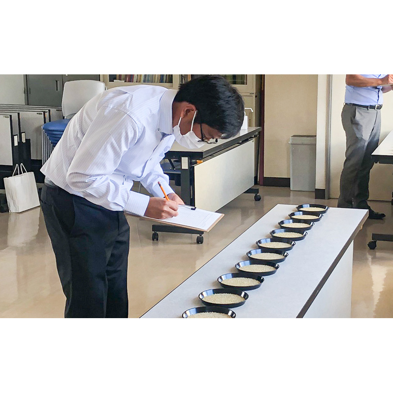 米 令和6年 ななつぼし 900g (300g×3袋) 北海道米 新米 白米 精米 お米 おこめ こめ ご飯 ごはん 単一原料米 ブランド米 令和6年産 ギフト 贈り物 プレゼント 北海道 芦別市_イ