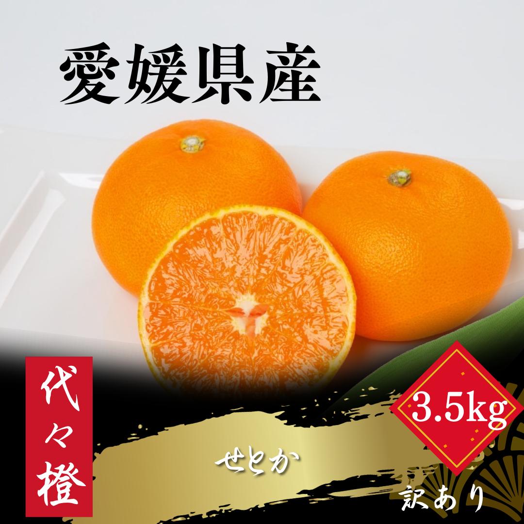 
                  【先行受付】【最高の旨みと香りが詰まった】代々橙せとか【訳あり】3.5kg【C83-9】_ みかん せとか 蜜柑 ミカン 愛媛 柑橘 かんきつ 愛媛みかん 訳あり 果物 くだもの フルーツ 果実 青果 デザート 産直 産地直送 愛媛県 国産 送料無料 【1543886】 YWTW009
                