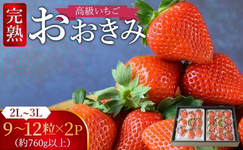 
            高級いちご 「おおきみ」（9～12粒×2パック 合計約760g以上）【 選べる 贈答用 簡易包装 ご家庭用 いちご イチゴ 苺 先行予約 甘い 大きい 果物 フルーツ 季節物 お祝い お返し サンクール・スマイルファーム 】2025年1月上旬から4月末迄に順次出荷
          