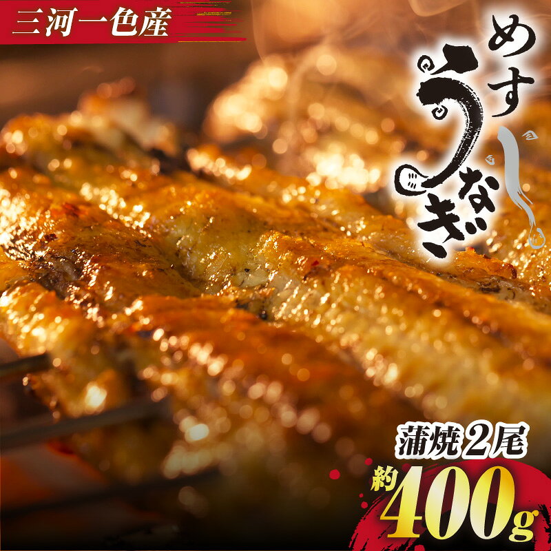 【ふるさと納税】手焼き 三河一色産 めすうなぎ 蒲焼《 2尾：約400g 》うなぎ メス鰻 愛知県産 一色産 ブランド鰻 ニホンウナギ 国産 日本産 魚 惣菜 ウナギの蒲焼き グルメ 保存料・着色料など無添加のタレ付 土用の丑 美味しい 人気返礼品 鰻重 送料無料 A205