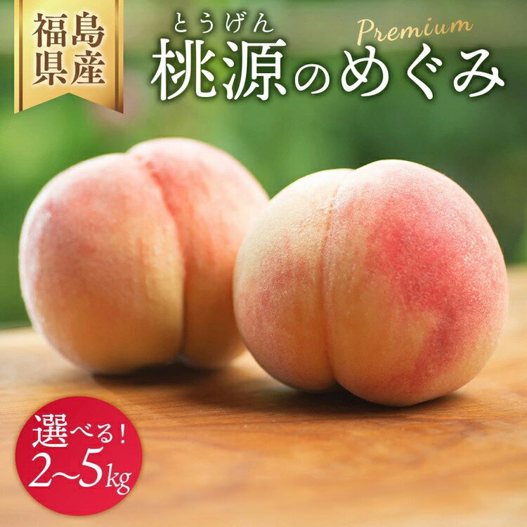 【ふるさと納税】＼レビュー投稿でお米プレゼント／【選べる容量】◆2026年夏発送◆桃源のめぐみ ～産直・桃・約2kg 約5kg ※離島への配送不可 ※2026年7月上旬～9月上旬頃に順次発送予定｜先行予約 予約 桃 もも モモ 果物 くだもの フルーツ 詰め合わせ 福島 ふくしま