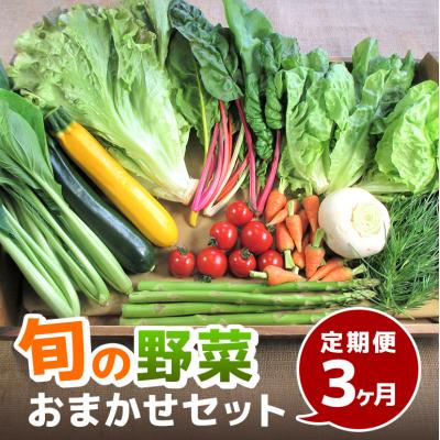 ふるさと納税 安芸高田市 旬の野菜・定期便(3か月)[No5895-0456]