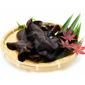 弥彦村産 越のうさぎ 生きくらげ250g×4･乾燥きくらげ25g×6 詰め合せセット | 生きくらげ 新潟県