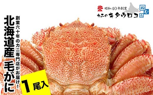 
                  B-25027 毛がに550g～650g前後×1尾
                