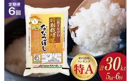 6回 定期便 JA新すながわ産 特栽米ななつぼし 5kg×6回 総計30kg [ホクレン商事 北海道 砂川市 12260796] 定期 お米 コメ 白米 ごはん ご飯 国産 レビューキャンペーン