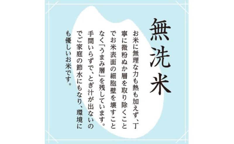 【令和8年産　新米先行受付】雪室貯蔵 魚沼産コシヒカリ 無洗米 10kg 米 お米 こめ コメ おこめ 白米 こしひかり 魚沼 新潟県