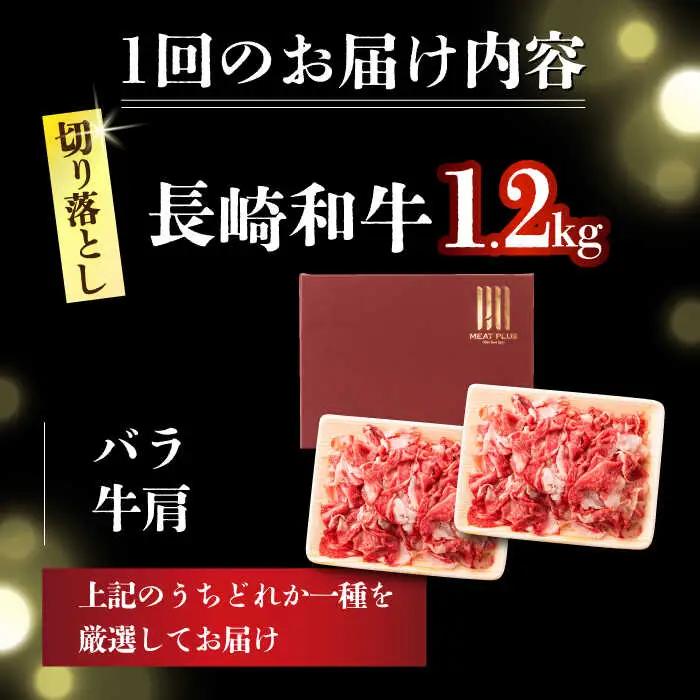 【12回定期便】 A4-A5 長崎和牛 切り落とし (600g×2） [DBS060]