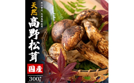 国産　天然高野松茸　約300g【1608329】