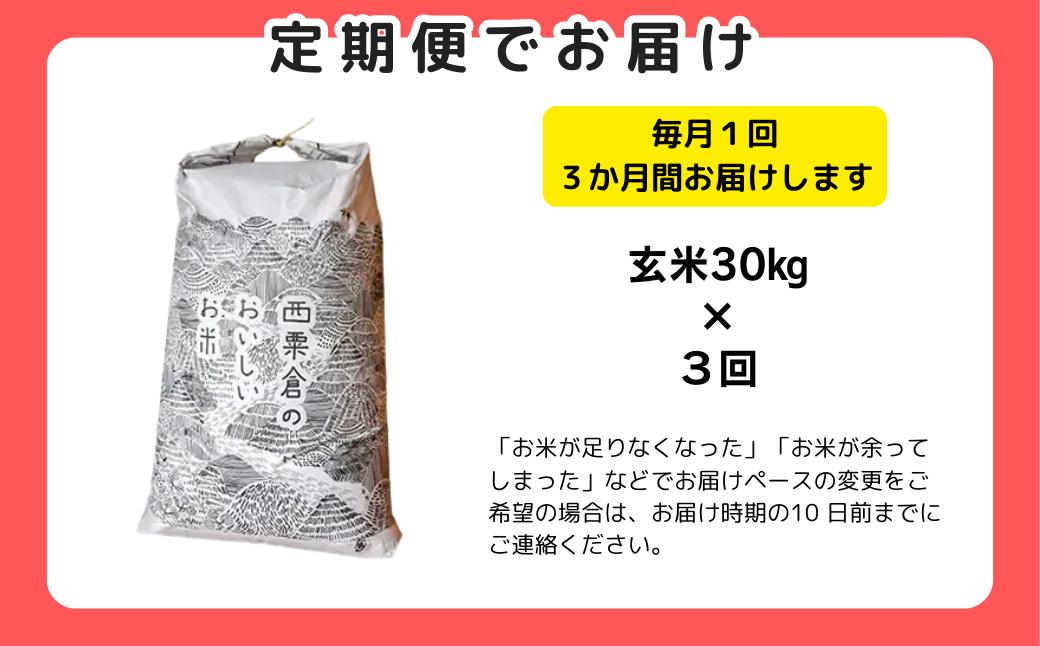 【令和8年産新米・先行予約】【3回定期便】あわくら源流米 コシヒカリ 玄米 30kg｜西粟倉村産・昼夜寒暖差が育む甘み｜ふるさと納税 K-ad-BFZA