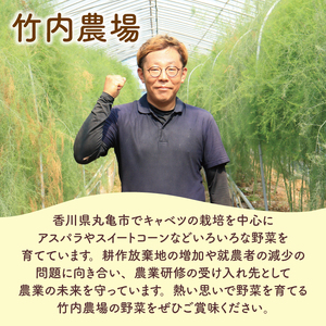 キャベツ 約10kg 4玉 ～ 8玉 キャベツ
