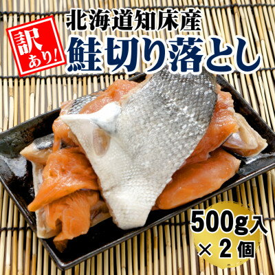 【ふるさと納税】【訳あり】北海道知床産 鮭切り落とし 500g入×2個【配送不可地域：離島・沖縄県】【1713157】
