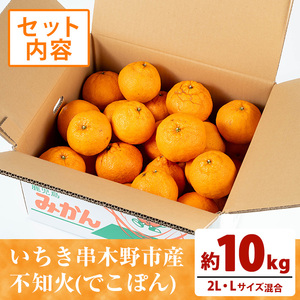 ＼数量・期間限定／【訳あり】池之上果樹園の”旬の”不知火 10kg（L・2Lサイズ混同）10kg箱バラ詰め満杯！秀品 産直 農家直送 濃厚 デコポン と 同品種 フルーツ 柑橘 みかん 【A-1794