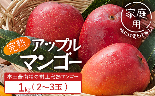 ≪先行予約・数量限定≫【訳あり】 ☆本土最南端☆佐多の果樹園で育てた 完熟アップルマンゴー1kg (2～3玉) 家庭用【2026年7月上旬以降順次発送】｜鹿児島県 南大隅 産地直送 旬 マンゴー フルーツ 果物 くだもの ST-409