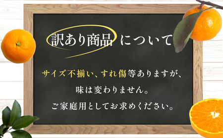 【先行予約】＜【訳あり】温州みかん 約5kg 数量限定 産地直送＞ ワケアリ 家庭用 みかん ミカン うんしゅうみかん ウンシュウ 蜜柑 柑橘 フルーツ 果物 果実 くだもの 特産品 旬 玉やま農園 