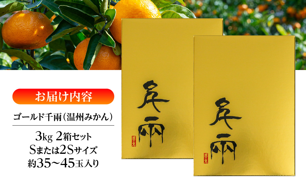【先行受付】日の丸みかん「ゴールド千兩」3kgサイズSまたは2S/約35〜45個/2箱/光センサー【F79-5】【1452027】 YWTC005