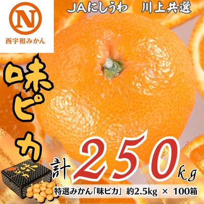 特選みかん「味ピカ」計250kg(約2.5kg×100箱)【H08−84】【1510472】