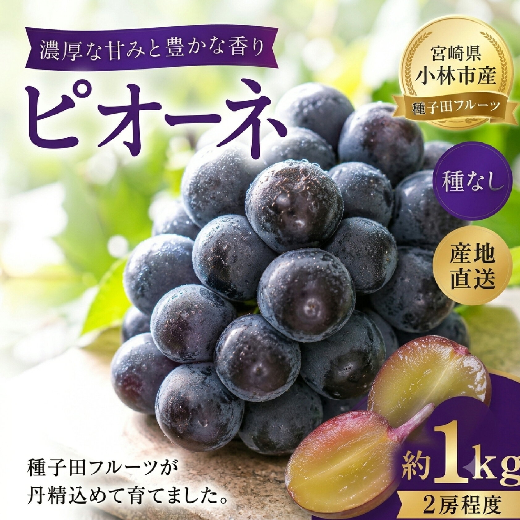 【ふるさと納税】【2027年発送】大粒・種なし ピオーネ（ニューピオーネ）1kg (ぶどう 葡萄 ピオーネ フルーツ)