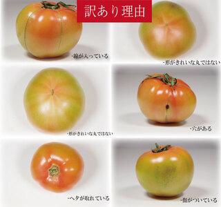 【訳あり】 【2027年1月発送】 桃太郎トマト 約2kg 先行予約 トマト