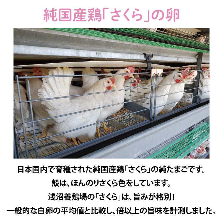 純国産鶏【さくら】純たまご30個入り (破損保証5個含む)【12ヶ月連続お届け】 (AJ012-2)