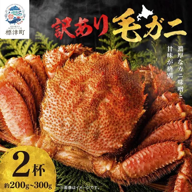 【訳あり】毛ガニ 200g~300g×2杯 毛ガニ 【AF】