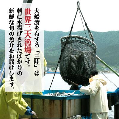ふるさと納税 大船渡市 鮮魚便 4~7匹セット[mouri002] |  | 01