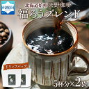 【ふるさと納税】 コーヒー ドリップバッグ 5個入×2袋 珈琲 生豆 自家焙煎 ビター スペシャルティコーヒー 中挽き ドリップコーヒー 飲料 ドリンク ギフト お取り寄せ グルメ 福ろうブレンド 天野珈琲 北海道 札幌市