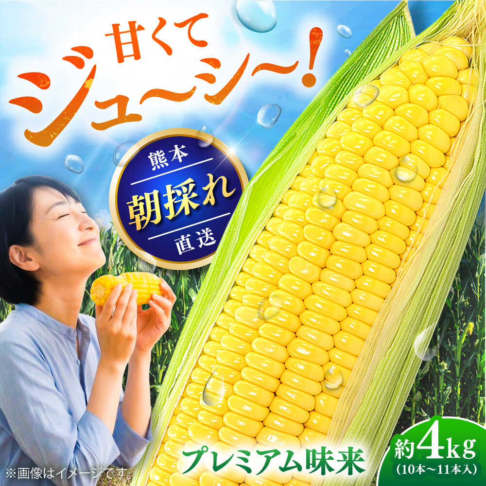 【ふるさと納税】【先行予約】【2027年5月中旬より順次発送】スイートコーン(プレミアム味来) 約4kg（10〜11本）【なかむら農園】[BHCJ004]