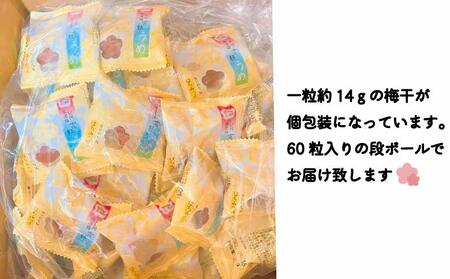 はちみつ梅干　フレッシュ感そのまま個包装タイプ　14g(2L)×60粒　紀州南高梅　完熟うめ　塩分約5％ A-039a