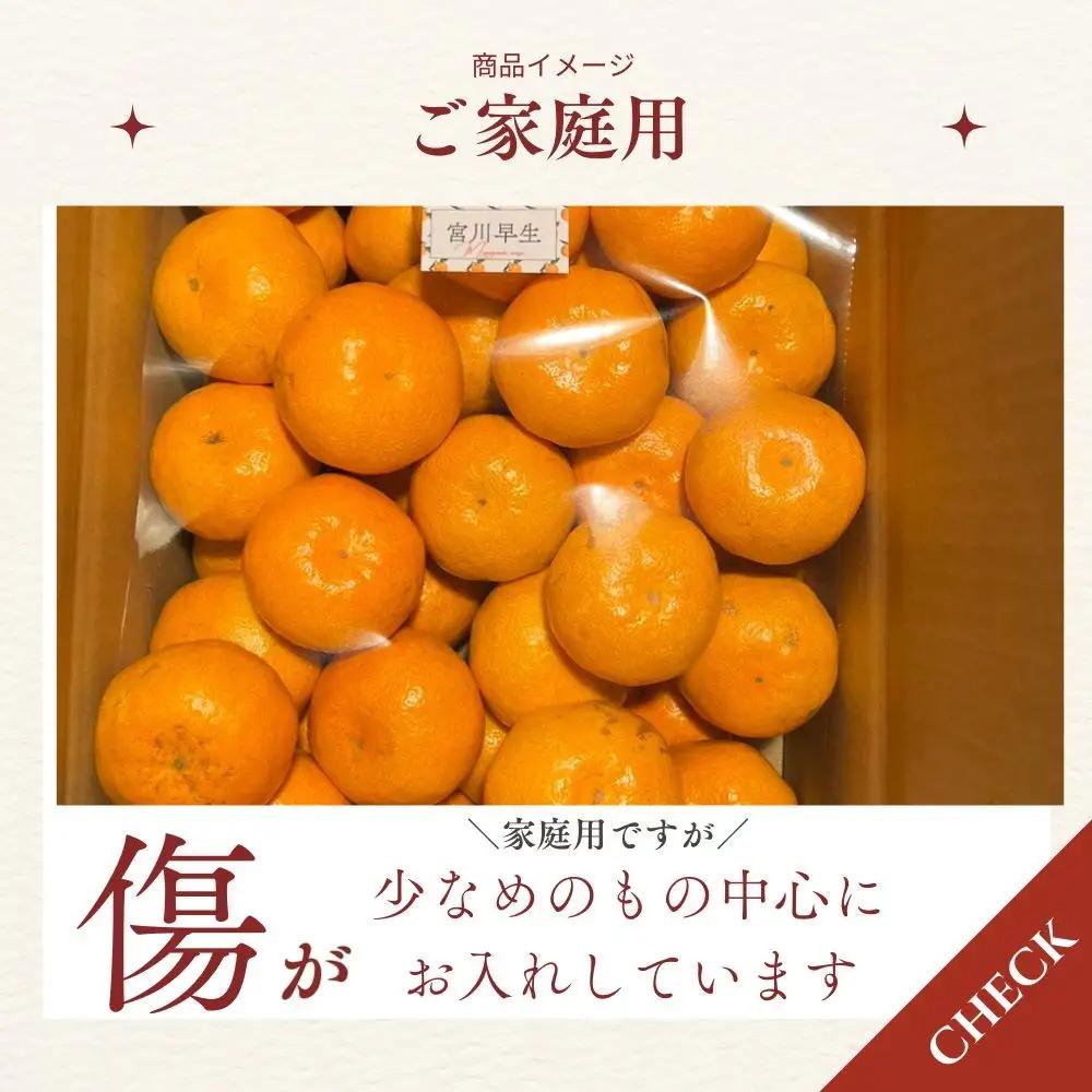 【ふるさと納税】【先行予約】有田みかん 早生 温州みかん 2.6kg（箱込み3kg）家庭用 S～Lサイズ おまかせ 柑橘 フルーツ みかん 産地直送 お取り寄せ 送料無料 温州ミカン