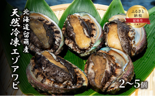 【産地直送】北海道留萌産天然冷凍エゾアワビ 2～5個